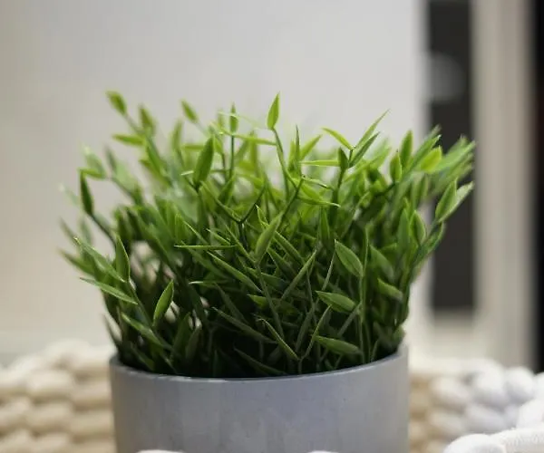 Luxury Verila Lejlighed